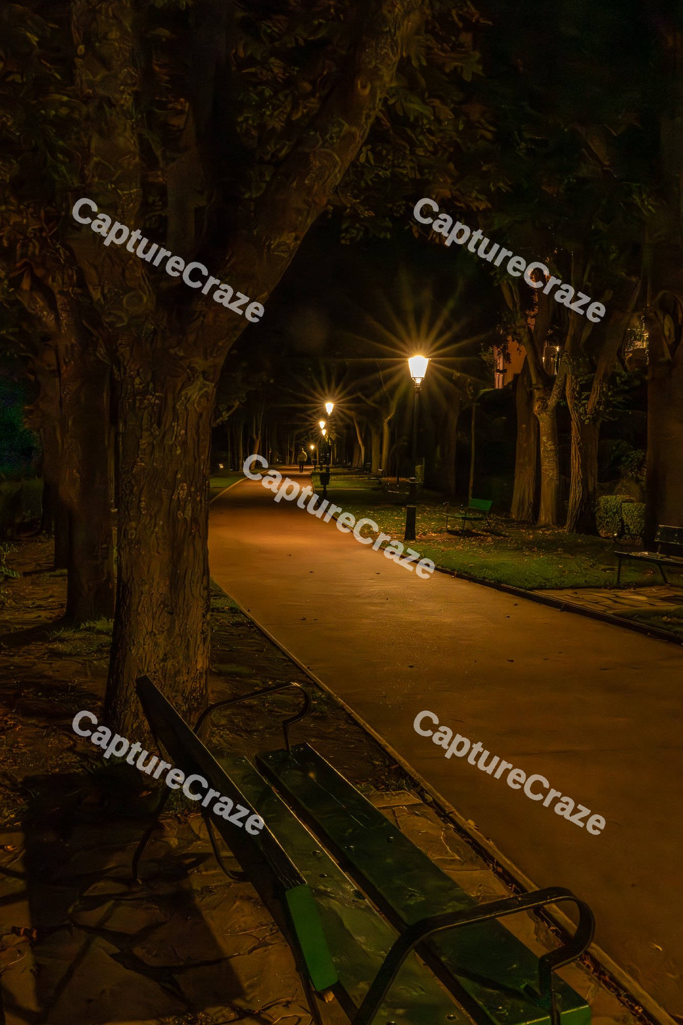 Pathway with trees at night